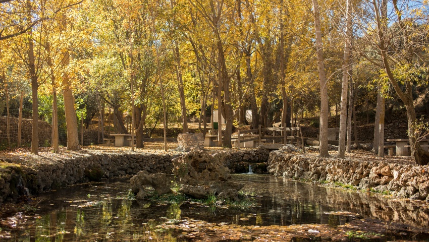 Área Recreativa Nacimiento Gordo