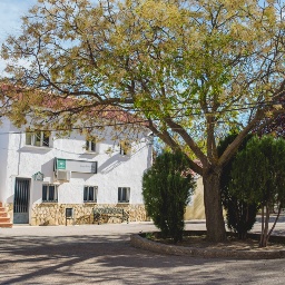 dorirOmeraJátar 202200023