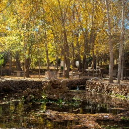 dorirOmeraJátar 202200061